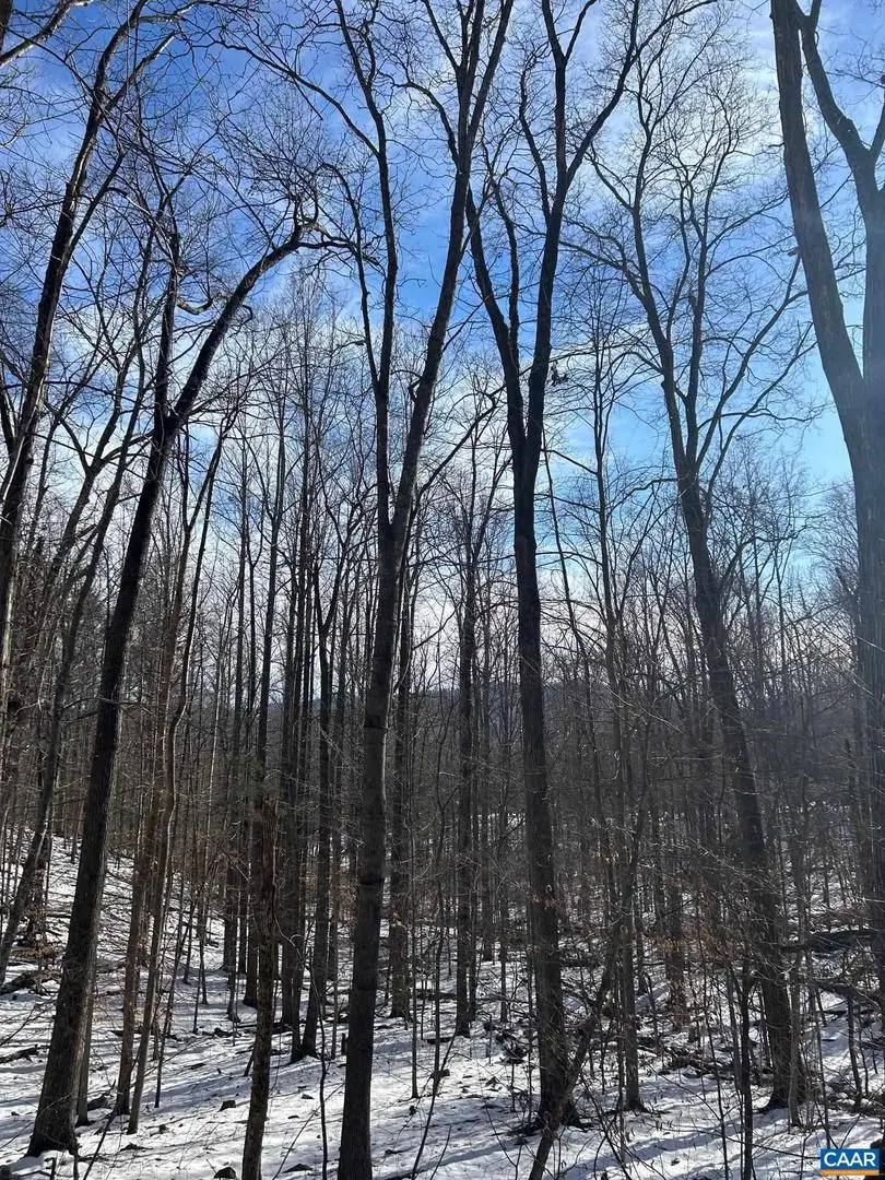 0 Stone Chimneys Rd #1, Wintergreen, VA 22958 - Image #2