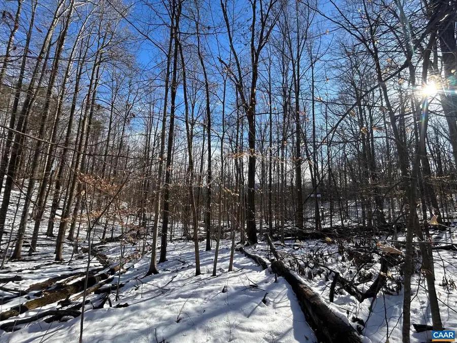 0 Stone Chimneys Rd #1, Wintergreen, VA 22958 - Image #3
