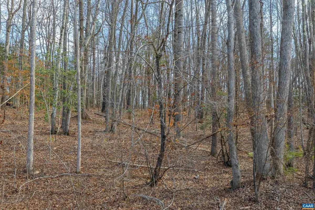 Tbd Bible Way Rd, Victoria, VA 23974 - Image #1