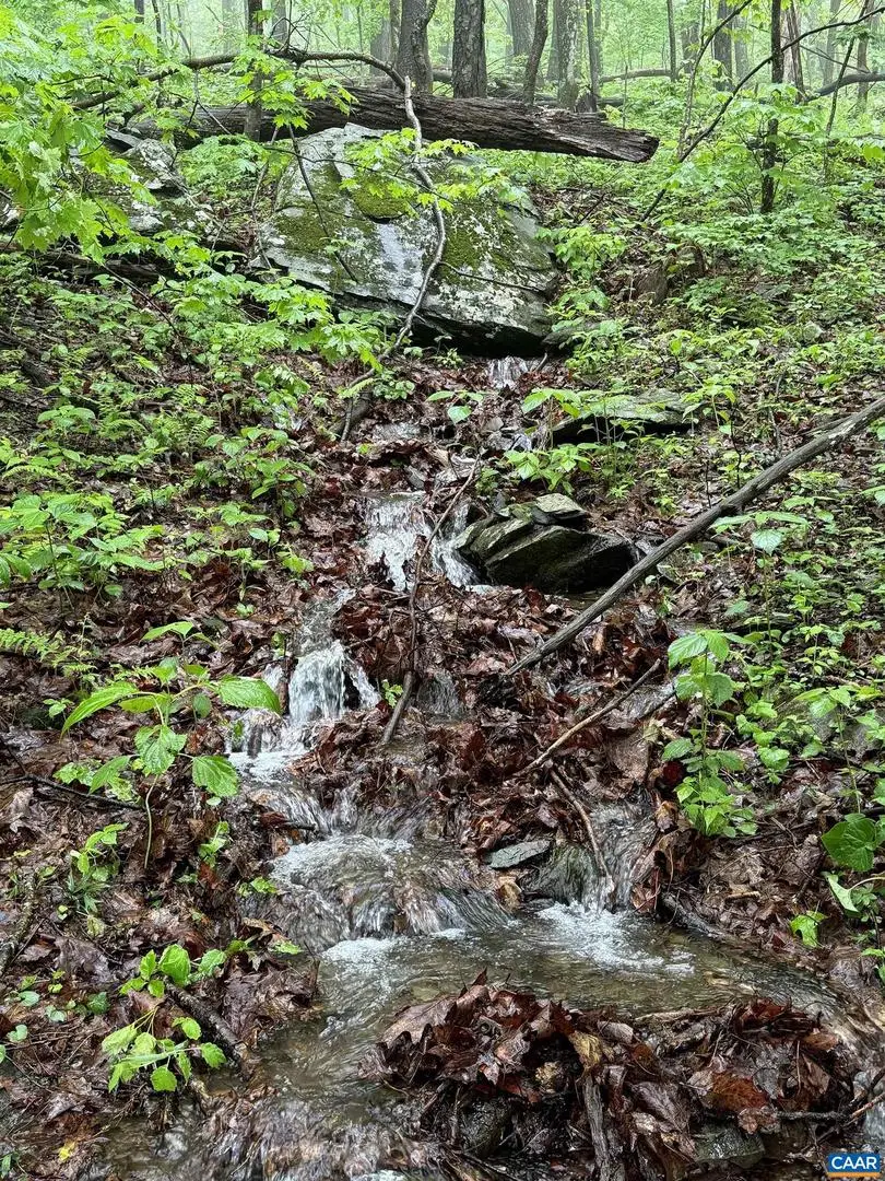 95 Hanging Rock Ln, Wintergreen Resort, VA 22967 - Image #3