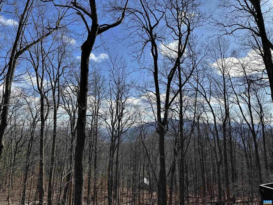 145 Firtree Dr, Wintergreen Resort, VA 22967 - Image #3