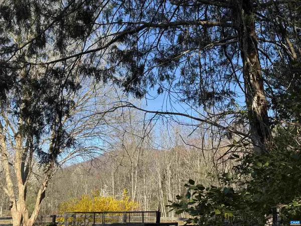 717 Cedar Meadow Dr, NELLYSFORD, VA 22958