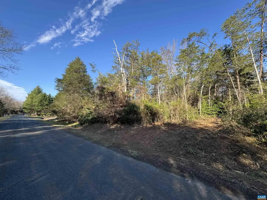 717 Cedar Meadow Dr, Nellysford, VA 22958 - Image #3