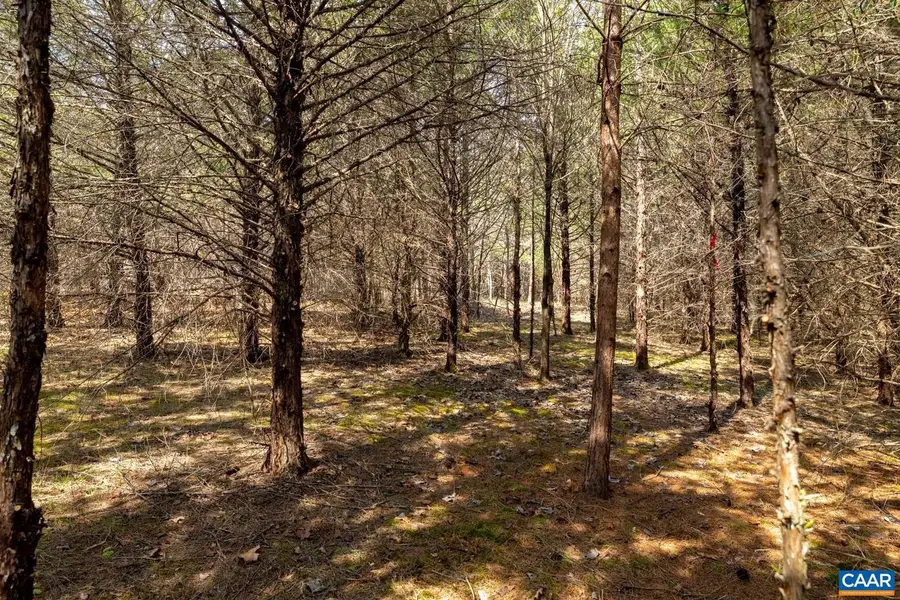 1280 Jones Overlook #53, Howardsville, VA 24562 - Image #3