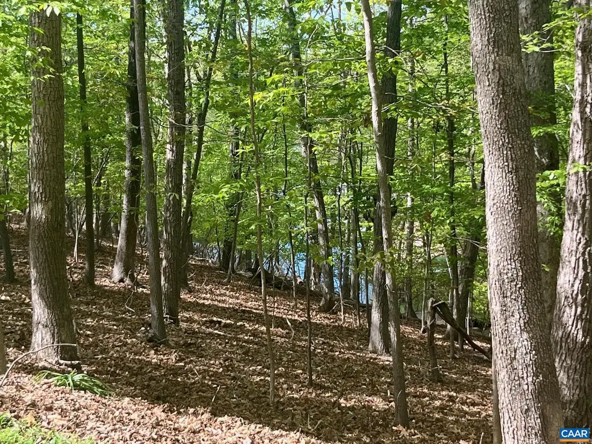 69 Laguna Rd, Palmyra, VA 22963 - Image #1