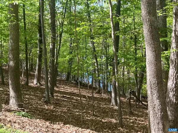 69 Laguna Rd, PALMYRA, VA 22963