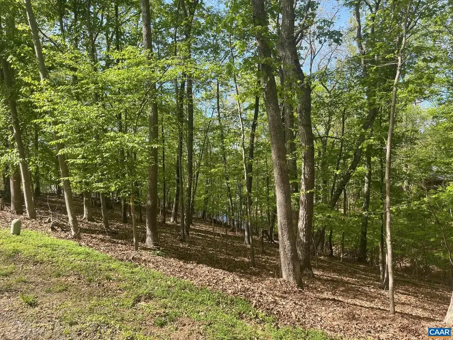 69 Laguna Rd, Palmyra, VA 22963 - Image #2