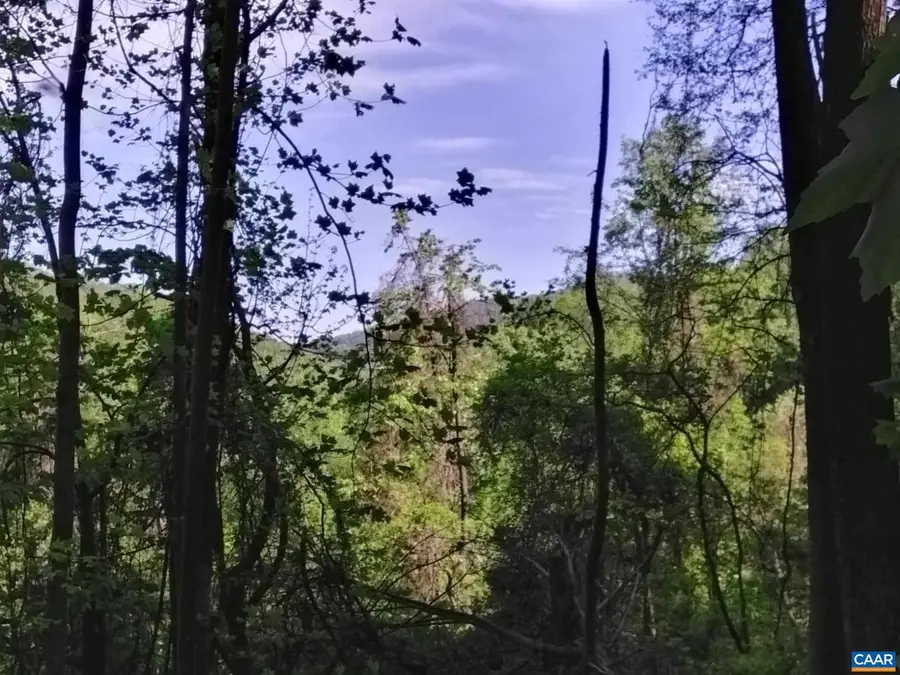 Tbd Old Blue Ridge Tpke, Syria, VA 22743 - Image #2