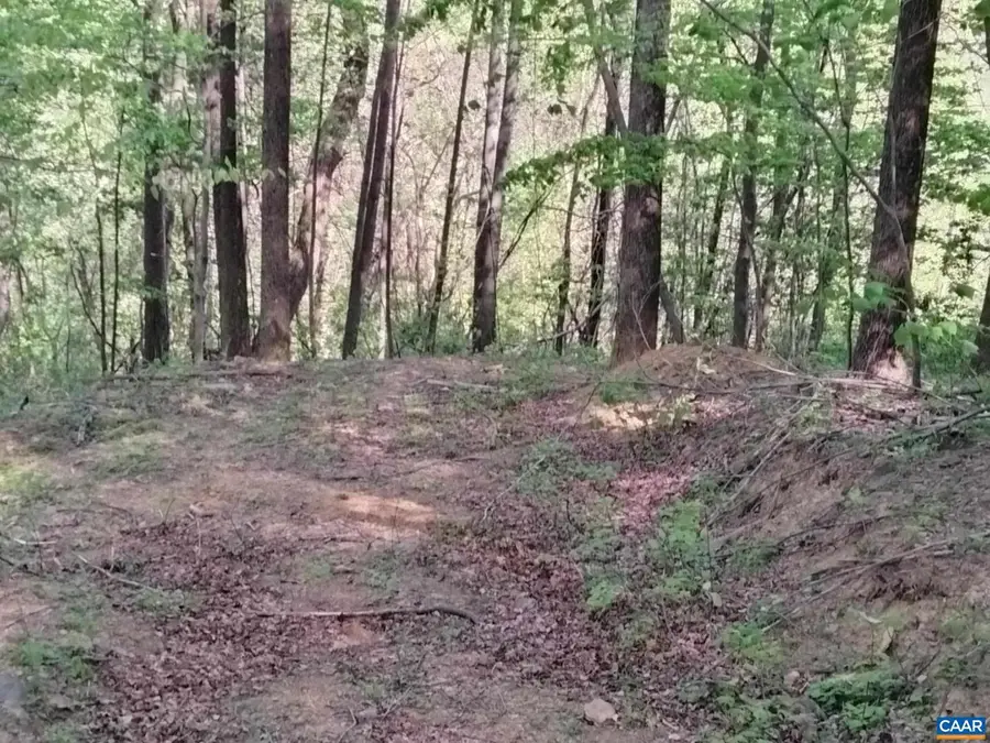 Tbd Old Blue Ridge Tpke, Syria, VA 22743 - Image #3