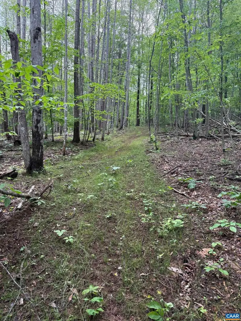 Tbd Rabbit Valley Rd, North Garden, VA 22959 - Image #2