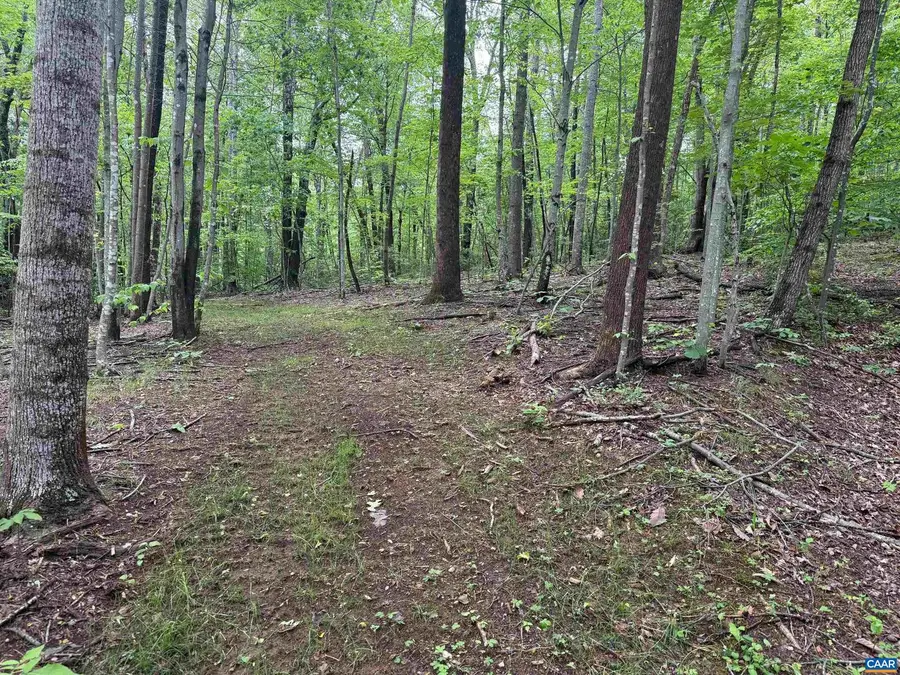 Tbd Rabbit Valley Rd, North Garden, VA 22959 - Image #3