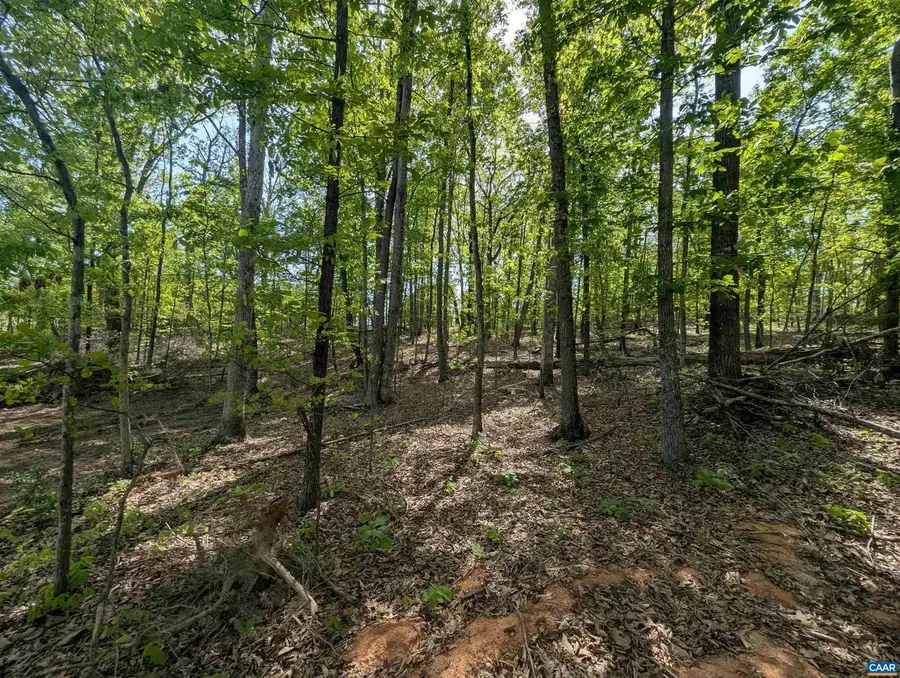 Lot 10 Advance Mills Rd, Ruckersville, VA 22968 - Image #2