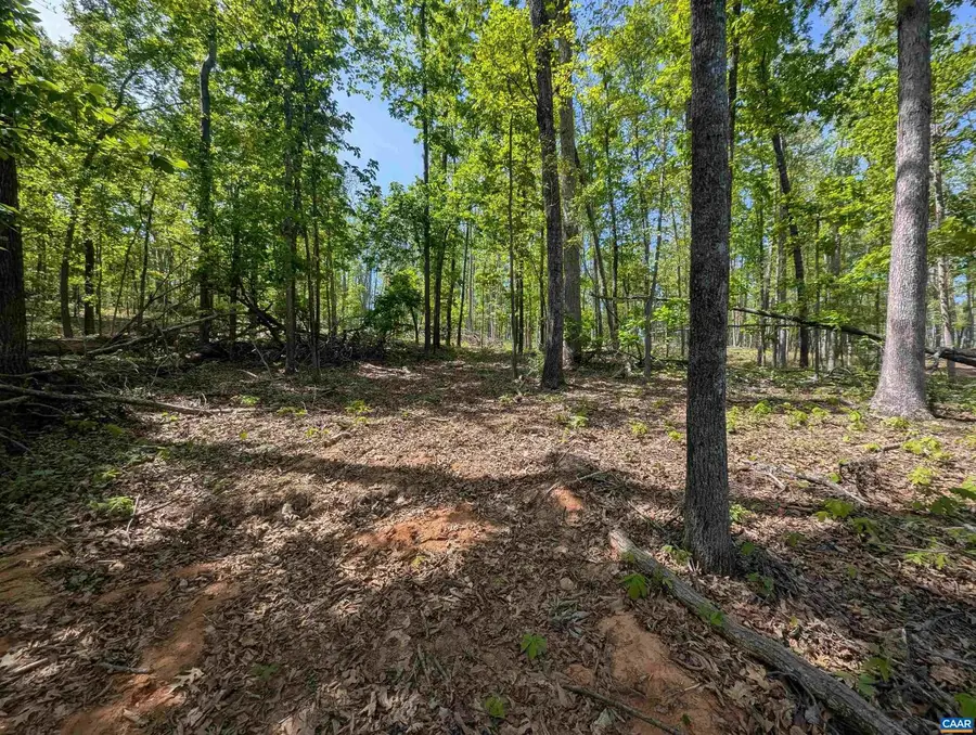 Lot 10 Advance Mills Rd, Ruckersville, VA 22968 - Image #3