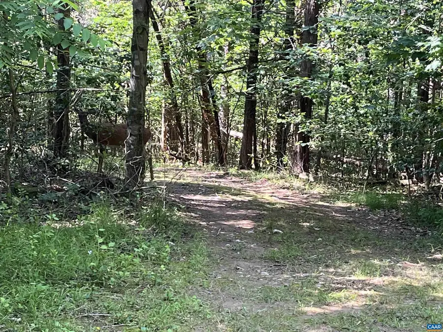 5878a Buffalo River Rd, Earlysville, VA 22936 - Image #2