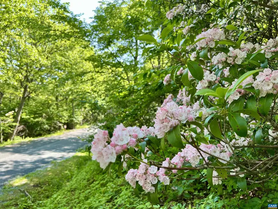 62 Split Rock Trl, Wintergreen Resort, VA 22967 - Image #3