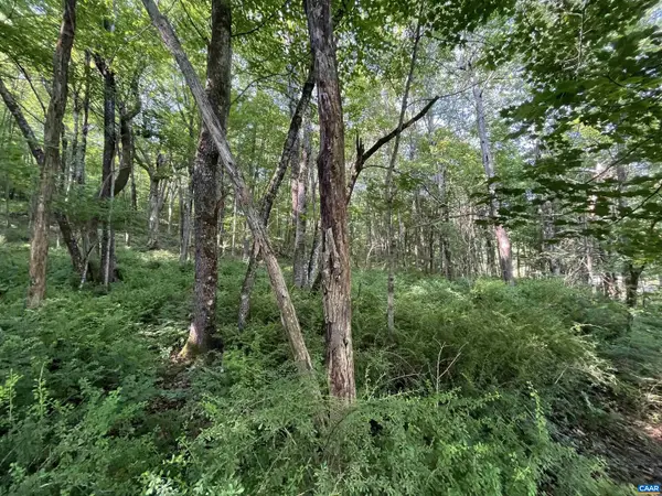 Tbd Fish Hatchery Ln, MONTEBELLO, VA 24464