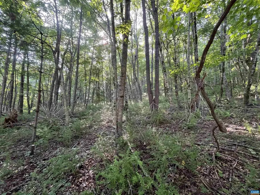 Tbd Fish Hatchery Ln, Montebello, VA 24464 - Image #2