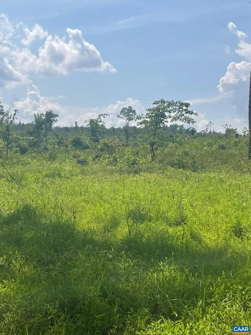 Passante Sr Ln #10 68, Gordonsville, VA 22942 - Image #3