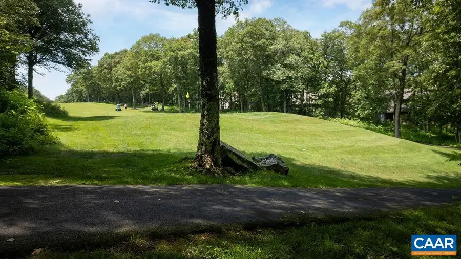 314 East Catoctin Dr, Wintergreen, VA 22967 - Image #3