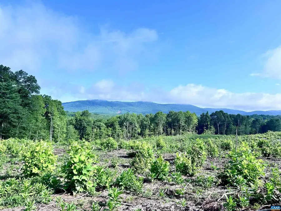 Hunting Lodge Rd, Schuyler, VA 22969 - Image #2