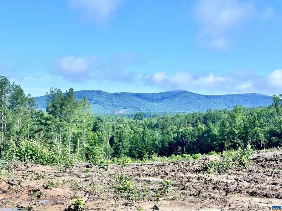 Hunting Lodge Rd, Schuyler, VA 22969 - Image #3