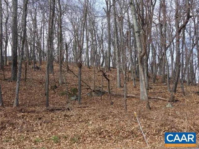 91 Shamokin Springs Trl, Wintergreen, VA 22958 - Image #2