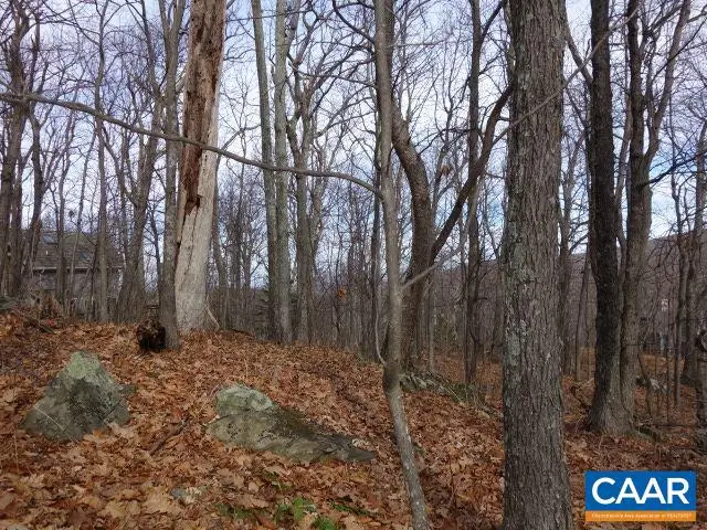 91 Shamokin Springs Trl, Wintergreen, VA 22958 - Image #3