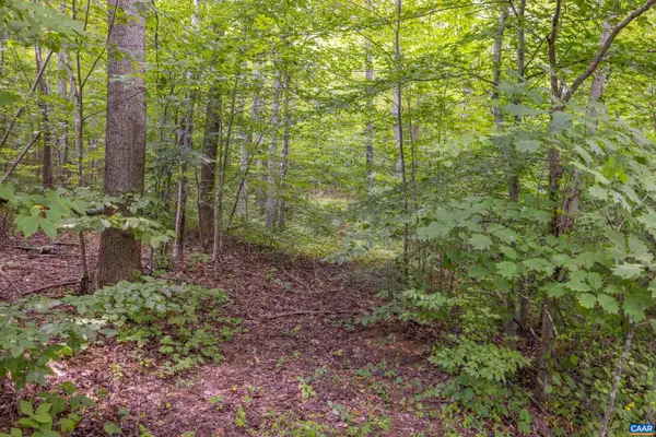 0 Mae Dr, STANARDSVILLE, VA 22973