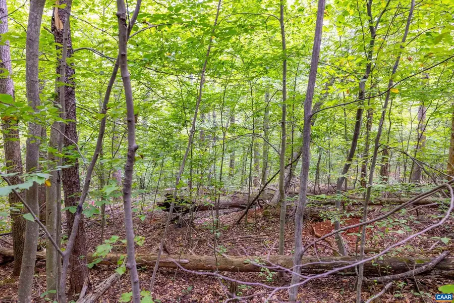 0 Mae Dr, Stanardsville, VA 22973 - Image #2