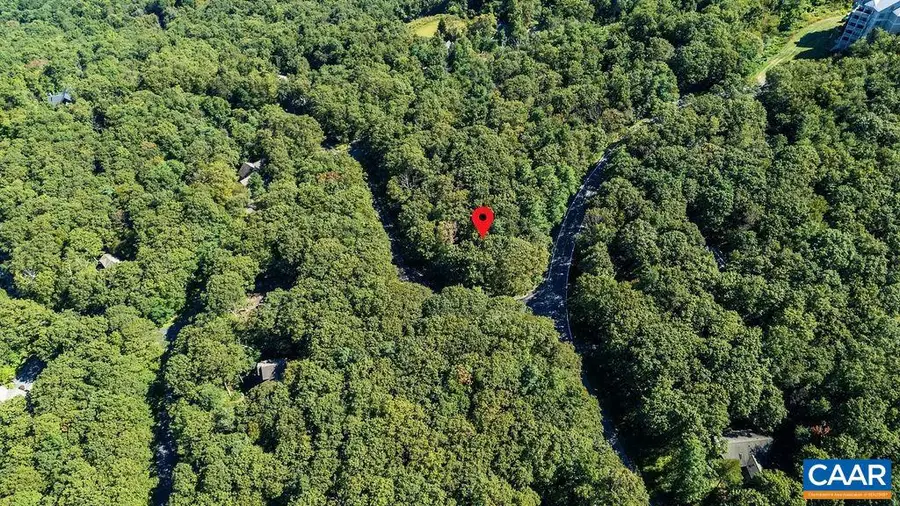 862 Shamokin Springs Trl, Wintergreen Resort, VA 22967 - Image #2