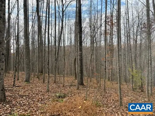 Part Of Tm 24-1 Mitchell Mountain Rd #portion Of Tm 24-1, HAYWOOD, VA 22722