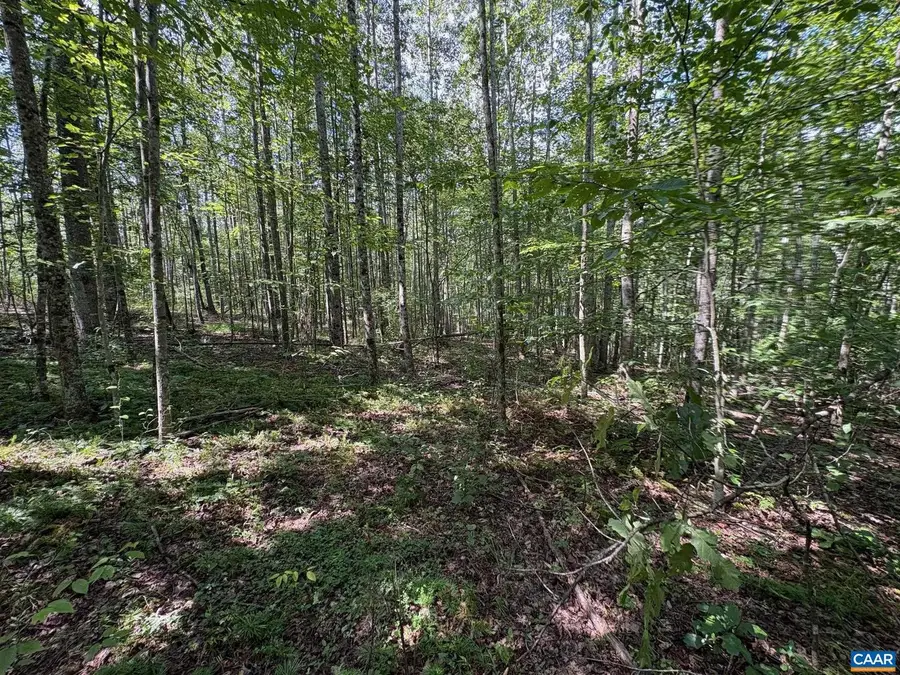 Part Of Tm 24-1 Mitchell Mountain Rd #portion Of Tm 24-1, Haywood, VA 22722 - Image #3