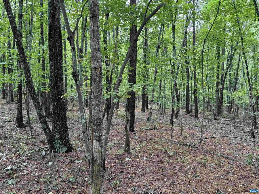 0 Meadow Creek Rd, Wingina, VA 24599 - Image #3