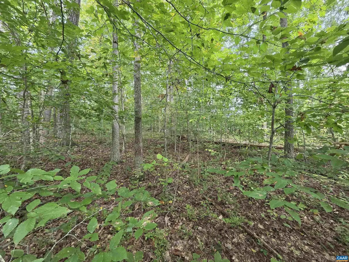 230 Beech Nut Dr #951 & 952, Louisa, VA 23093 - Image #1