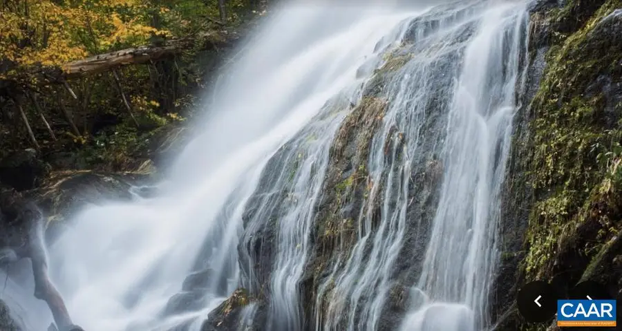 13630 Crabtree Falls Hwy #5, Tyro, VA 22976 - Image #3