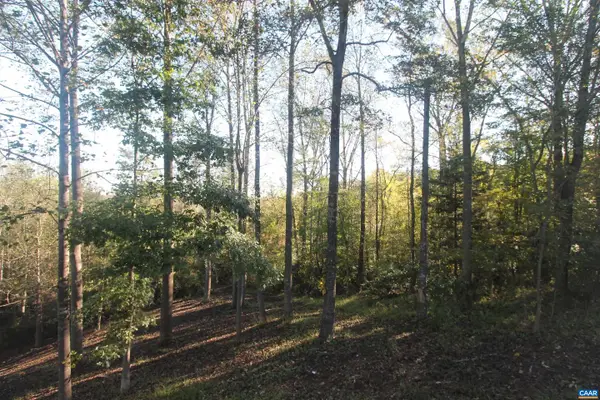 Tbd Batesville Rd #2, AFTON, VA 22920