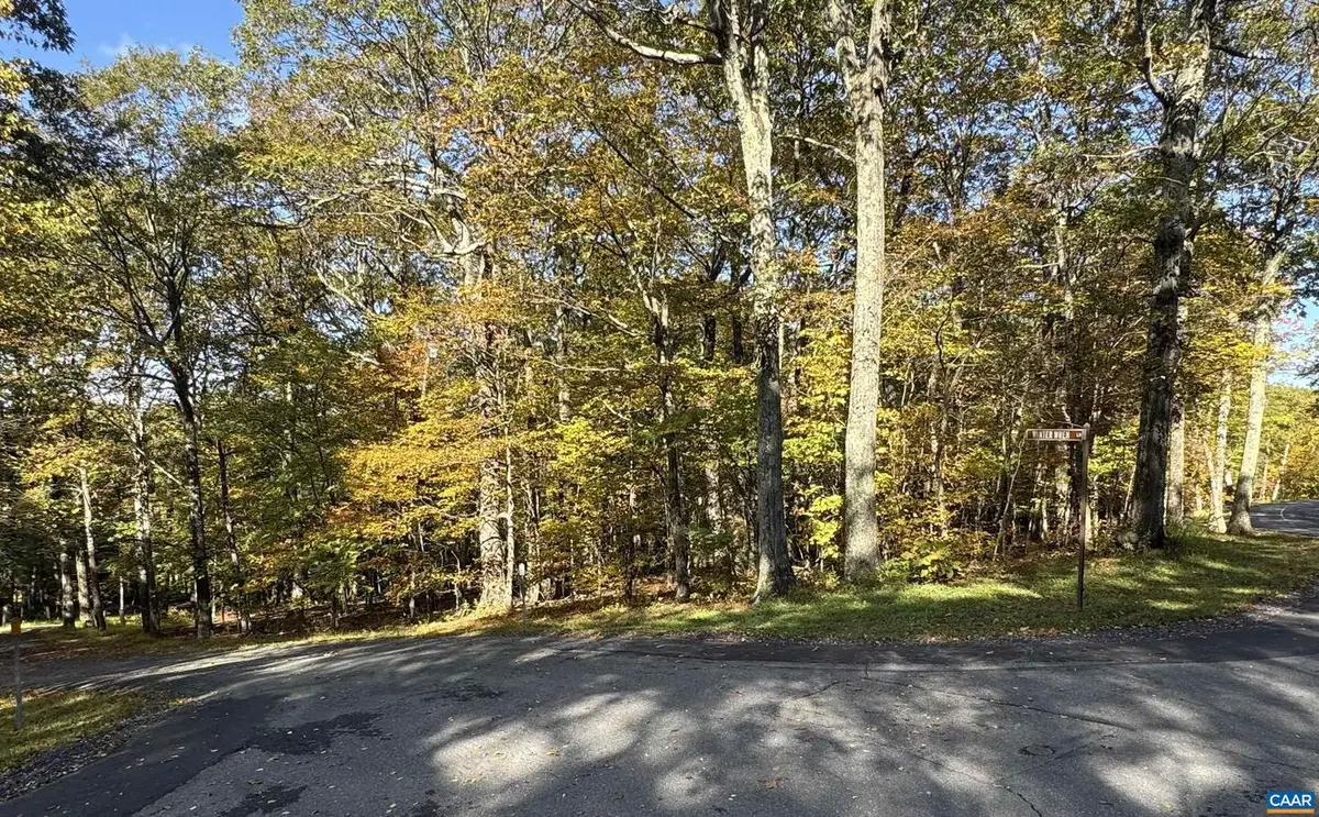 Tbd Winter Wren Ln #20, Wintergreen Resort, VA 22967 - Image #1