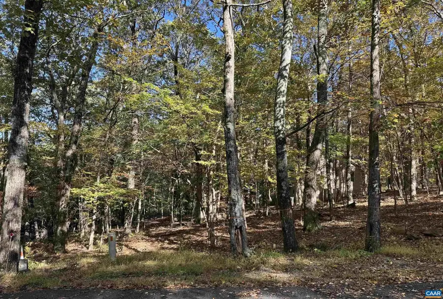 Tbd Winter Wren Ln #20, Wintergreen Resort, VA 22967 - Image #3