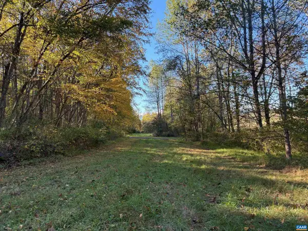Lot E, Tm 24-30 W Hoover Rd #e, REVA, VA 22735