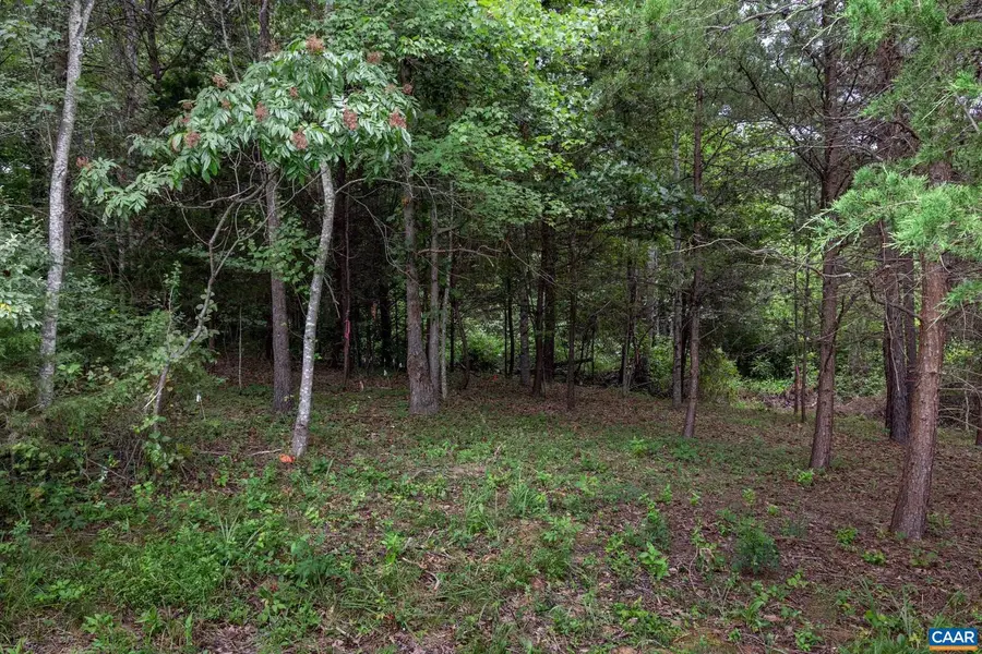 Lot 69 Palmer Pl #69, Ruckersville, VA 22968 - Image #3