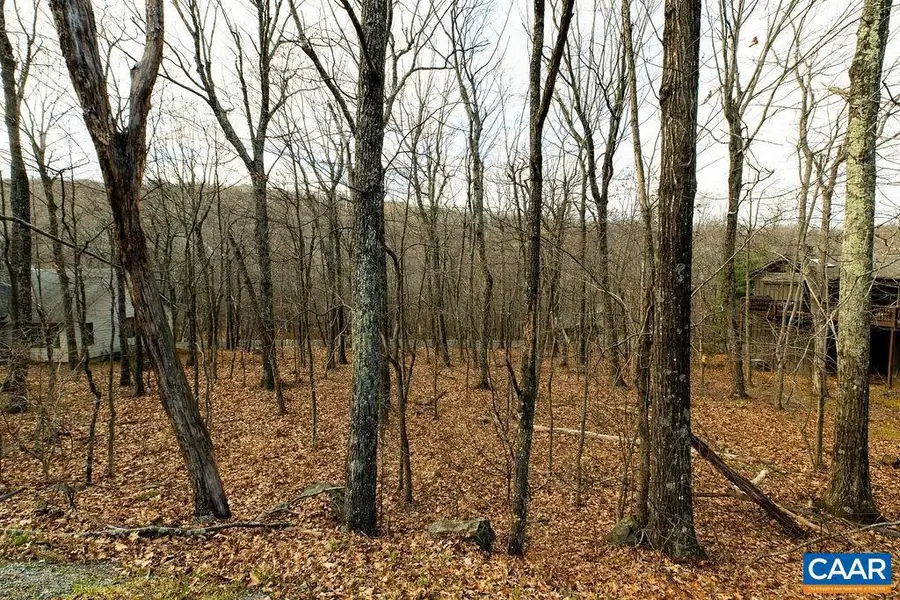 105 Den Tree Ln #shamokin Springs Lot, Wintergreen Resort, VA 22967 - Image #3