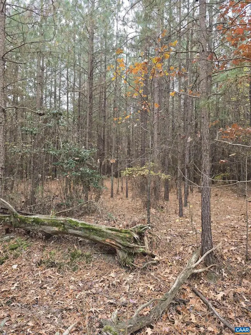 18 Evergreen Dr #18, Colonial Beach, VA 22443 - Image #1