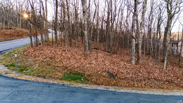 23 North Rock Tree Ln #125 Pedlars Edge Sub, WINTERGREEN RESORT, VA 22967