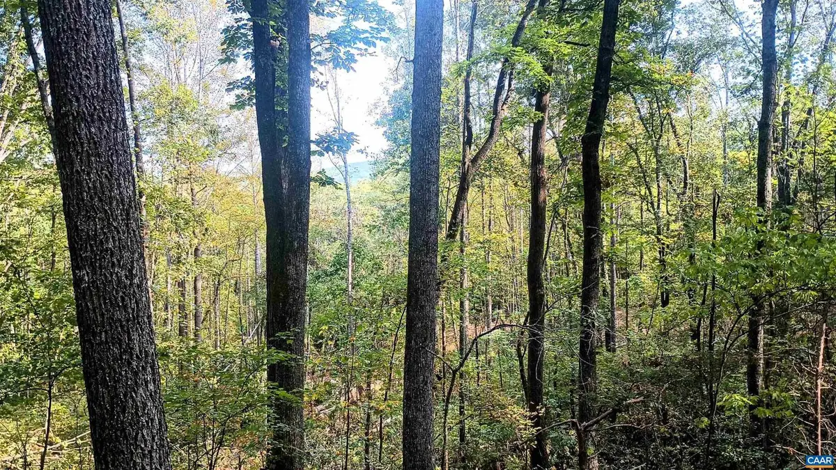 15 Deer Run Ln, Shipman, VA 22971 - Image #1