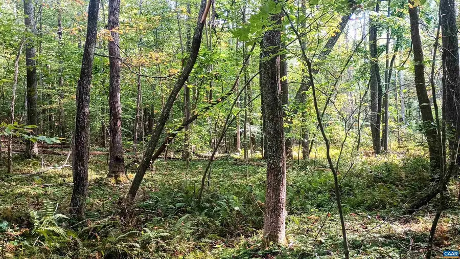 15 Deer Run Ln, Shipman, VA 22971 - Image #2