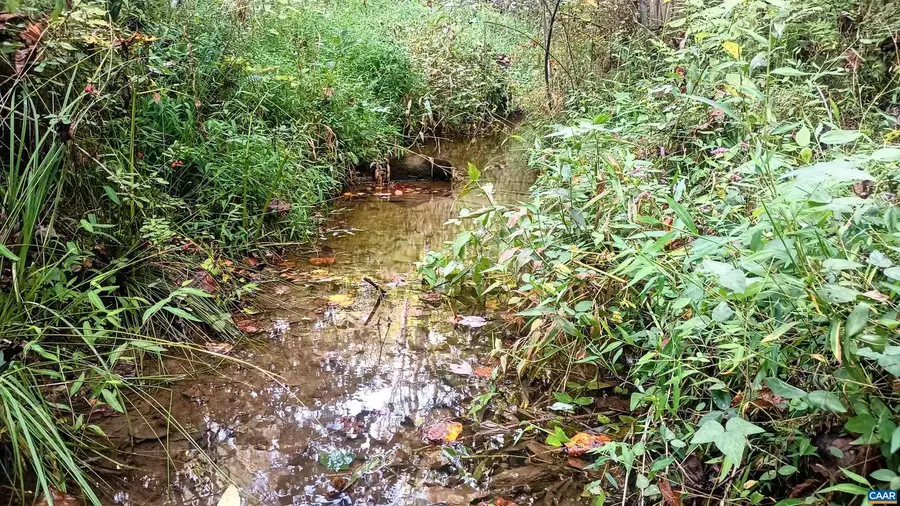 15 Deer Run Ln, Shipman, VA 22971 - Image #3