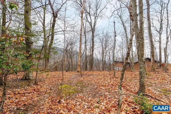 63 Gumtree Rd #108 Laurel Ridge, WINTERGREEN RESORT, VA 22967