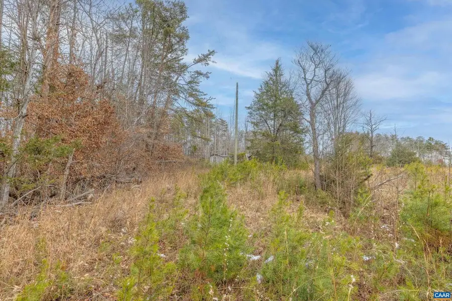 155 Harris Ln, Palmyra, VA 22963 - Image #3