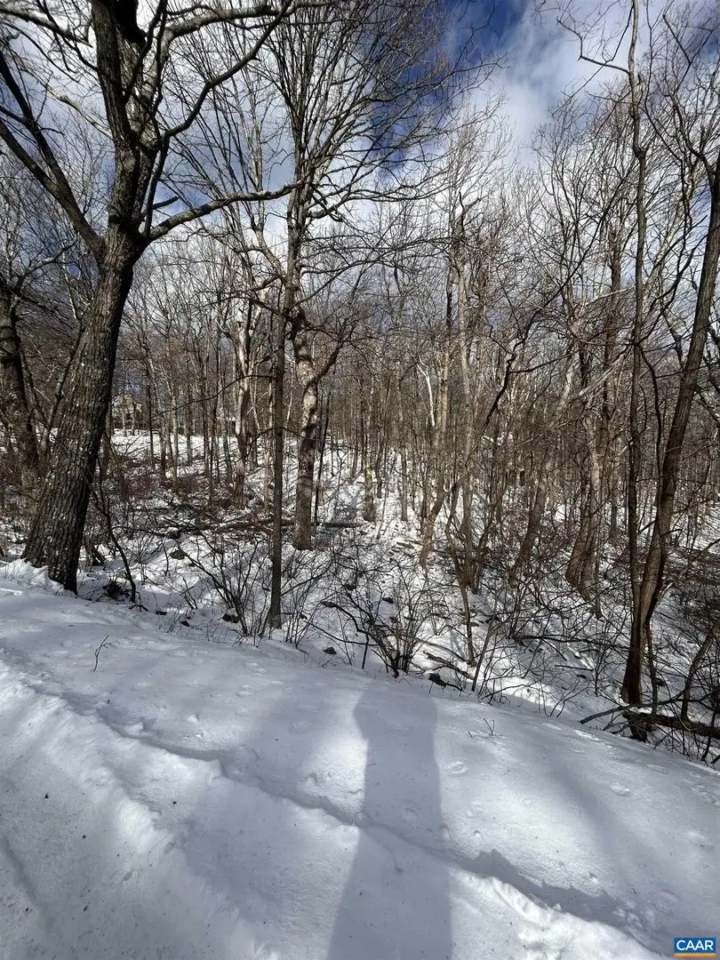 25 Poll Axe Ln, Wintergreen Resort, VA 22967 - #3