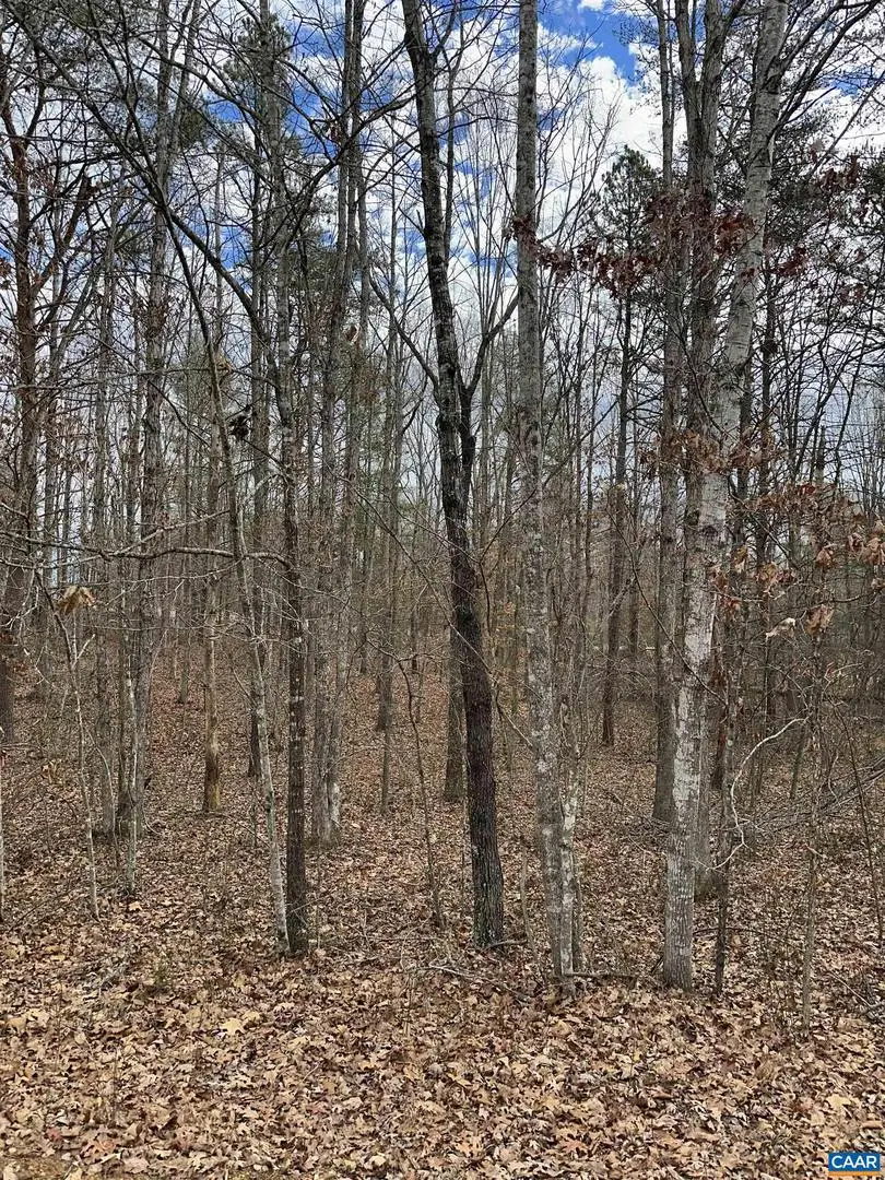 Lot 220 Pinehurst Dr #220, Louisa, VA 23093 - Image #3